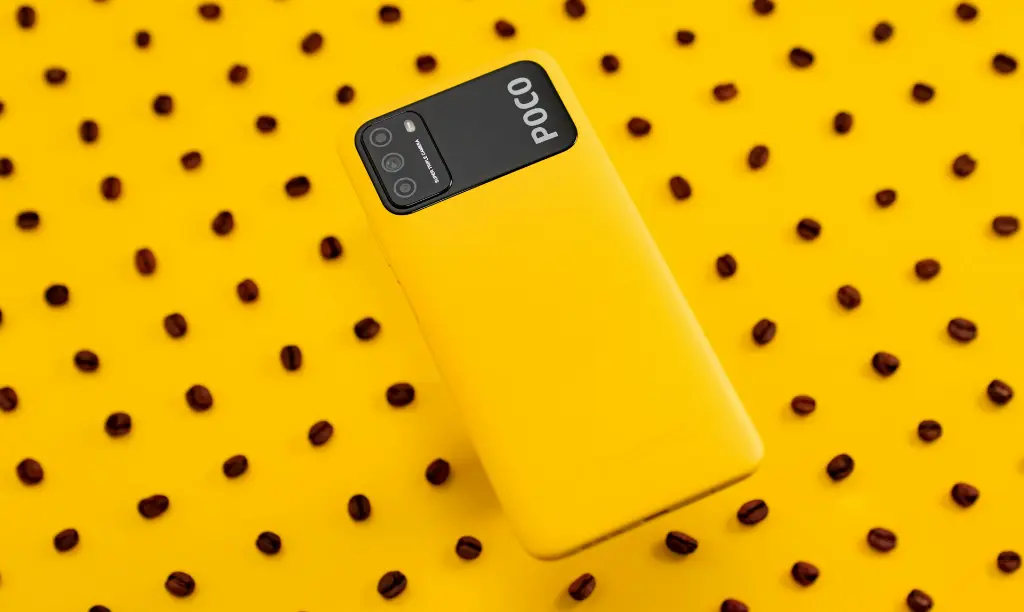 unsplash_stCvfAbNYAc_poco.webp.jpg