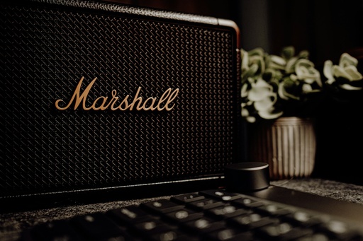 Marshall Speaker